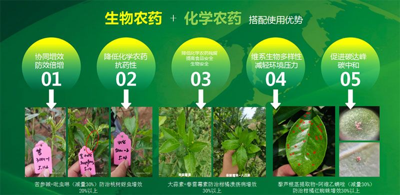 新朝陽在第六屆中國農(nóng)藥行業(yè)市場和銷售高峰論壇做“生物農(nóng)藥+化學(xué)農(nóng)藥，引領(lǐng)植保市場未來”主題報告