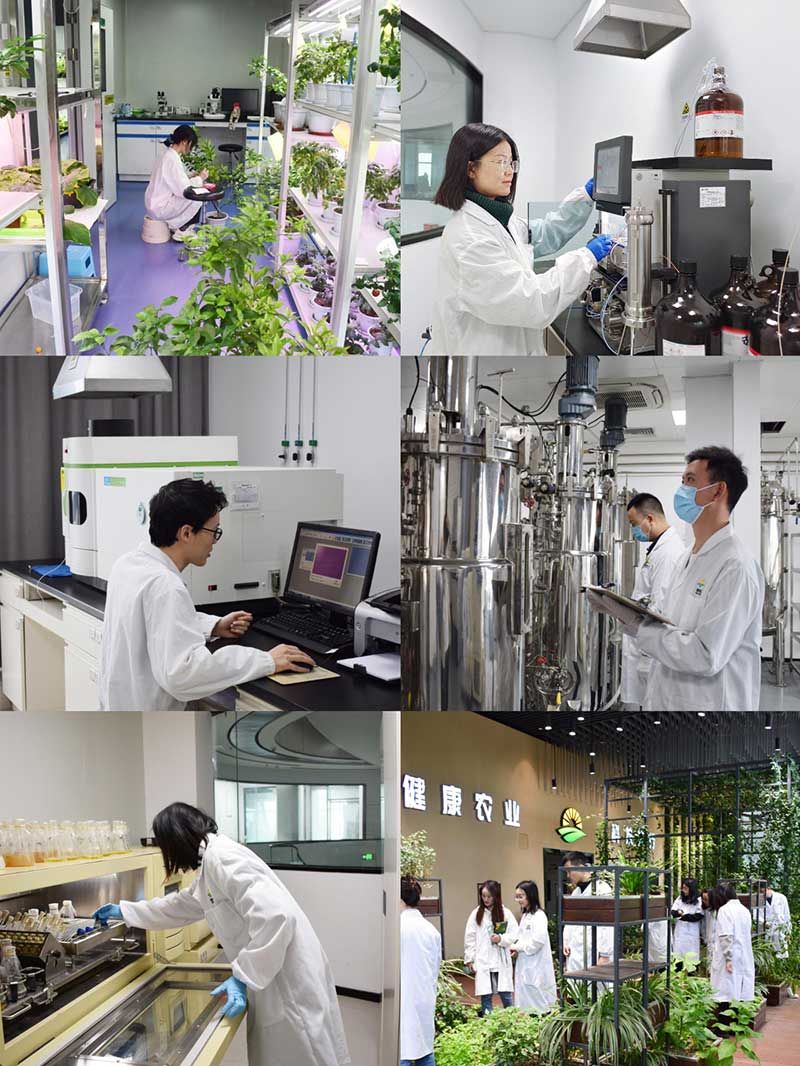 “全國(guó)科技工作者日”：推動(dòng)農(nóng)業(yè)綠色高質(zhì)量發(fā)展，新朝陽(yáng)科研人在路上