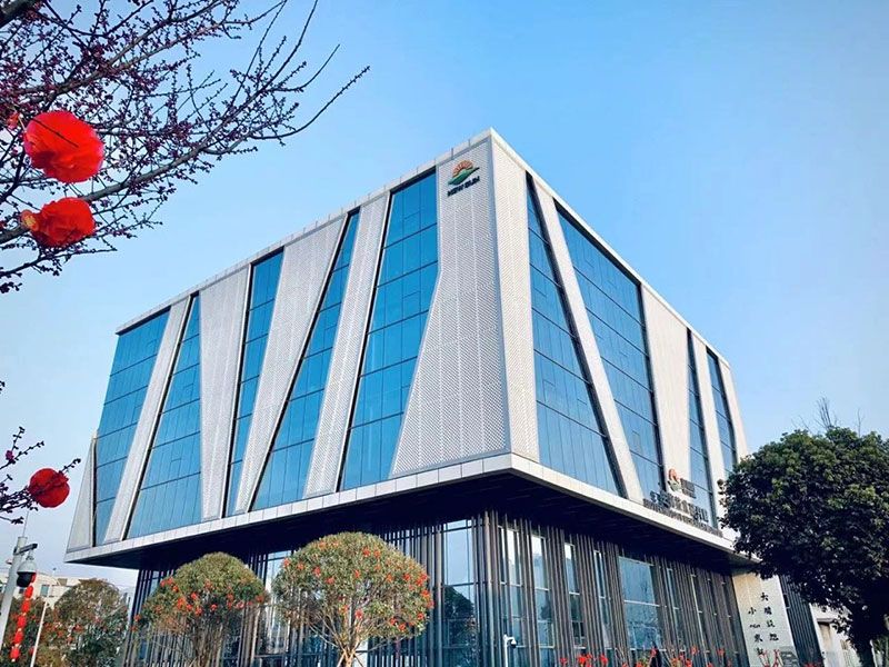 新突破！新朝陽(yáng)新型脫葉劑獲巴西專(zhuān)利授權(quán)