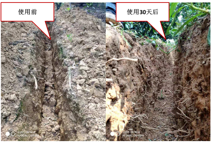 “土壤板結(jié)克星”：土壤調(diào)理劑你了解多少？