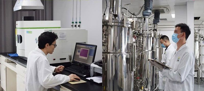 打造新朝陽生物科技“五張名片”，服務(wù)農(nóng)業(yè)高質(zhì)量發(fā)展！