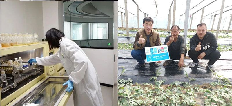 打造新朝陽生物科技“五張名片”，服務(wù)農(nóng)業(yè)高質(zhì)量發(fā)展！