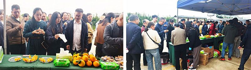 新朝陽生物技術助力綠色防控，推動柑橘產業(yè)綠色高質量發(fā)展